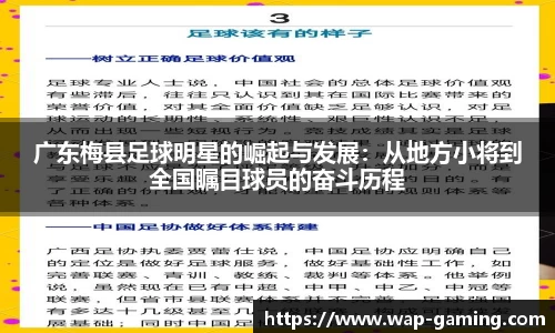 PG模拟器